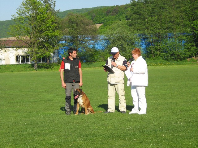 www.atibox.net * www.euroboxer.eu * www.boxergenealogia.eu